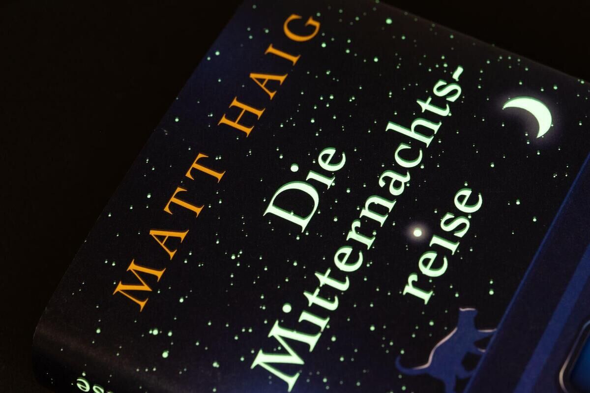 Innenansicht zu Haig, M: Mitternachtsreise