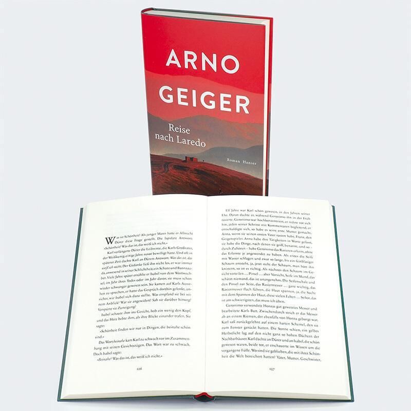 Innenansicht zu Geiger, A: Reise nach Laredo
