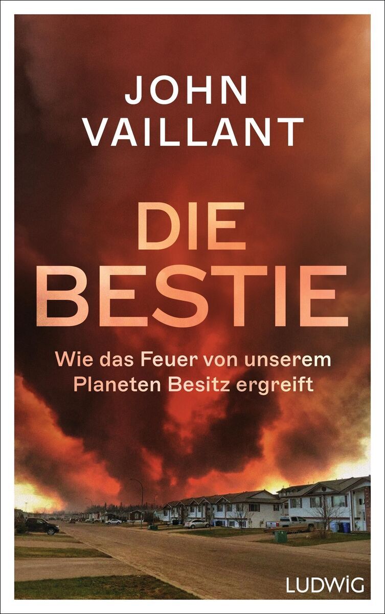 Buchcover von 'John Vaillant: Die Bestie' zeigt einen riesigen, dunkelroten Rauchwolkenhimmel über einer Stadtlandschaft. Der Titel und der Untertitel erklären das Thema des Buches, das sich auf das Feuer und seine Auswirkungen auf unseren Planeten konzentriert.