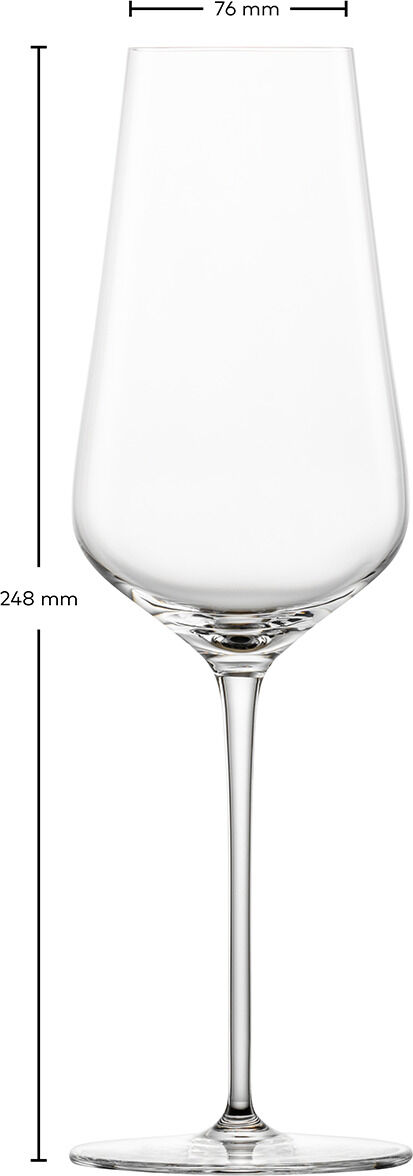 Zwei schlanke, elegante Champagnergläser im Duo-Set, dargestellt mit einer Größe von 248 mm Höhe und 76 mm Durchmesser am Glasrand. Die Gläser sind aus transparentem Kristallglas und ideal für besondere Anlässe.