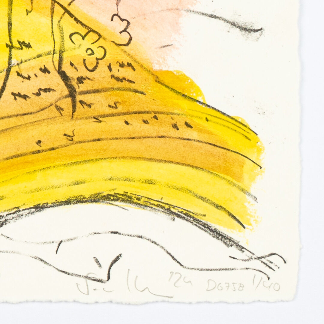 Lithografie »DG 75B« aus der ZEIT-Sonderedition, 2024, gerahmt. Das Bild zeigt eine abstrakte, farbenfrohe Zeichnung mit vorwiegenden Gelb- und Brauntönen, begleitet von dunkleren Linien und der Signatur des Künstlers.