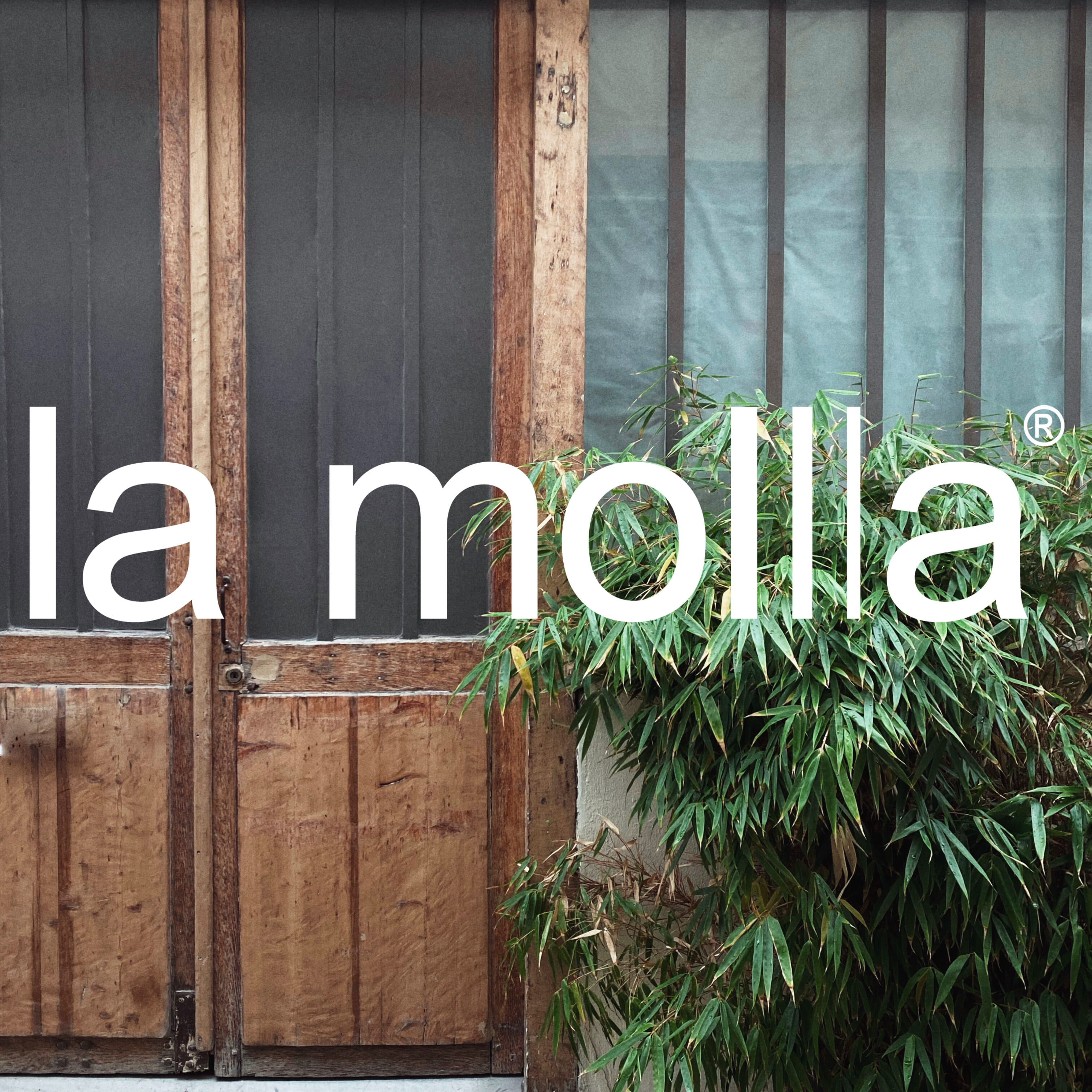 Holztür mit zwei Flügeln, obere Hälfte schwarz, untere Hälfte naturbelassen, daneben grüner Bambus, Text 'la molla®' in weißer Schrift über dem Bild