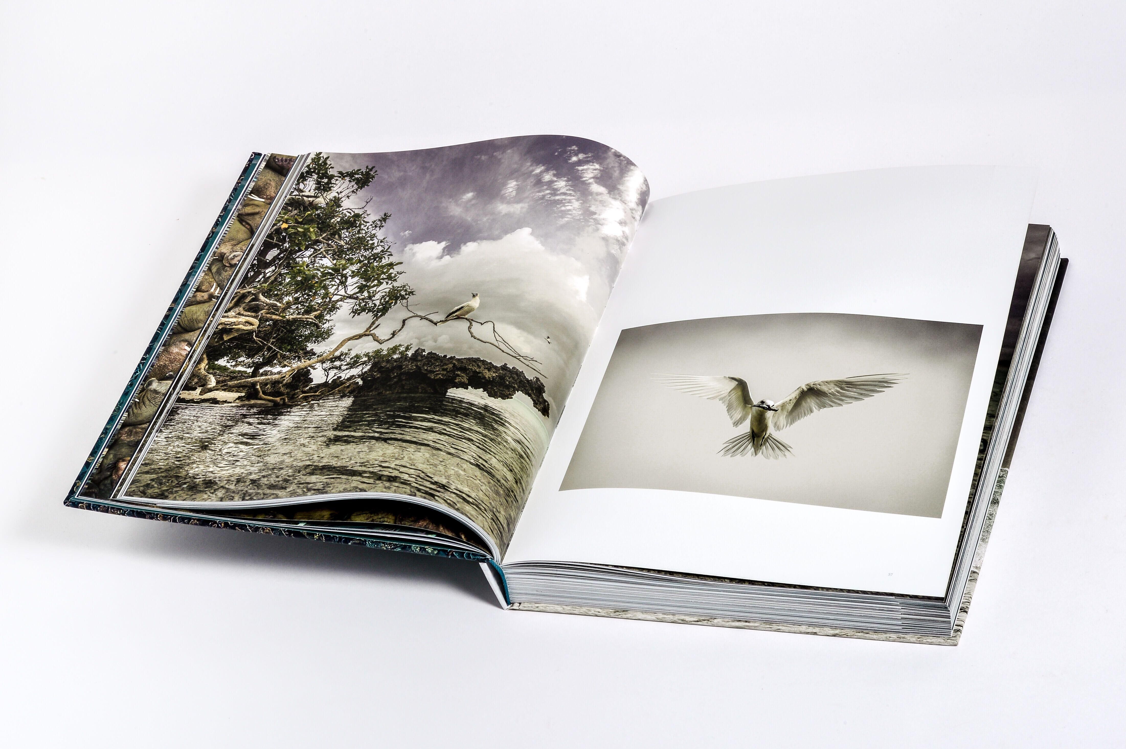 Innenansicht zu Pickford, P: Wilder Ozean