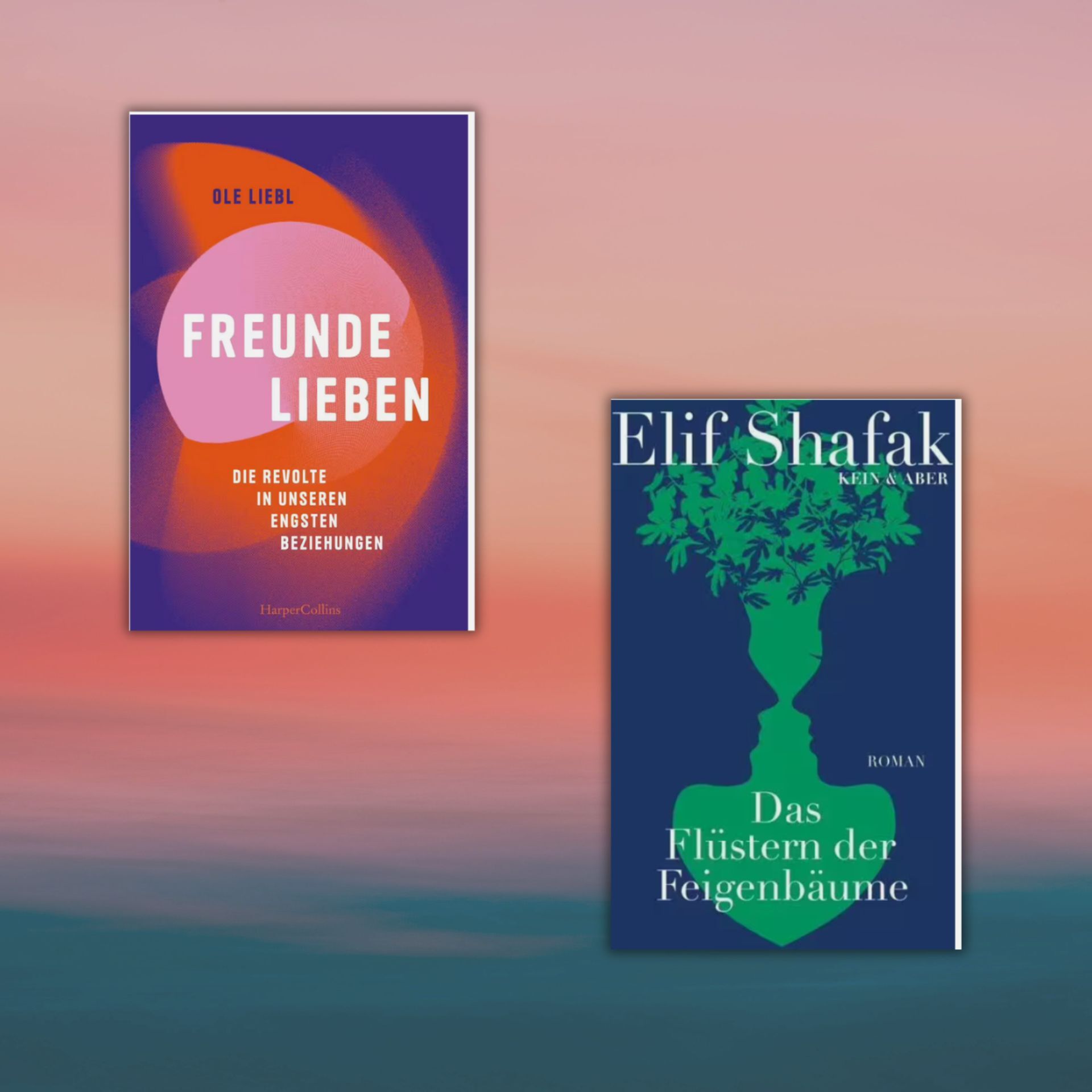 Link zur Kategorie 9 Bücher über die Liebe: Zwei Buchcover nebeneinander vor einem sanft verlaufenden Hintergrund in Lila und Blau. Links das Cover „Freunde lieben“ von Ole Liebl in Pink, Lila und Orange mit weißer Schrift. Rechts das Cover „Das Flüstern der Feigenbäume“ von Elif Shafak in Dunkelblau, Grün und Weiß, darauf ein Feigenbaum als Silhouette.