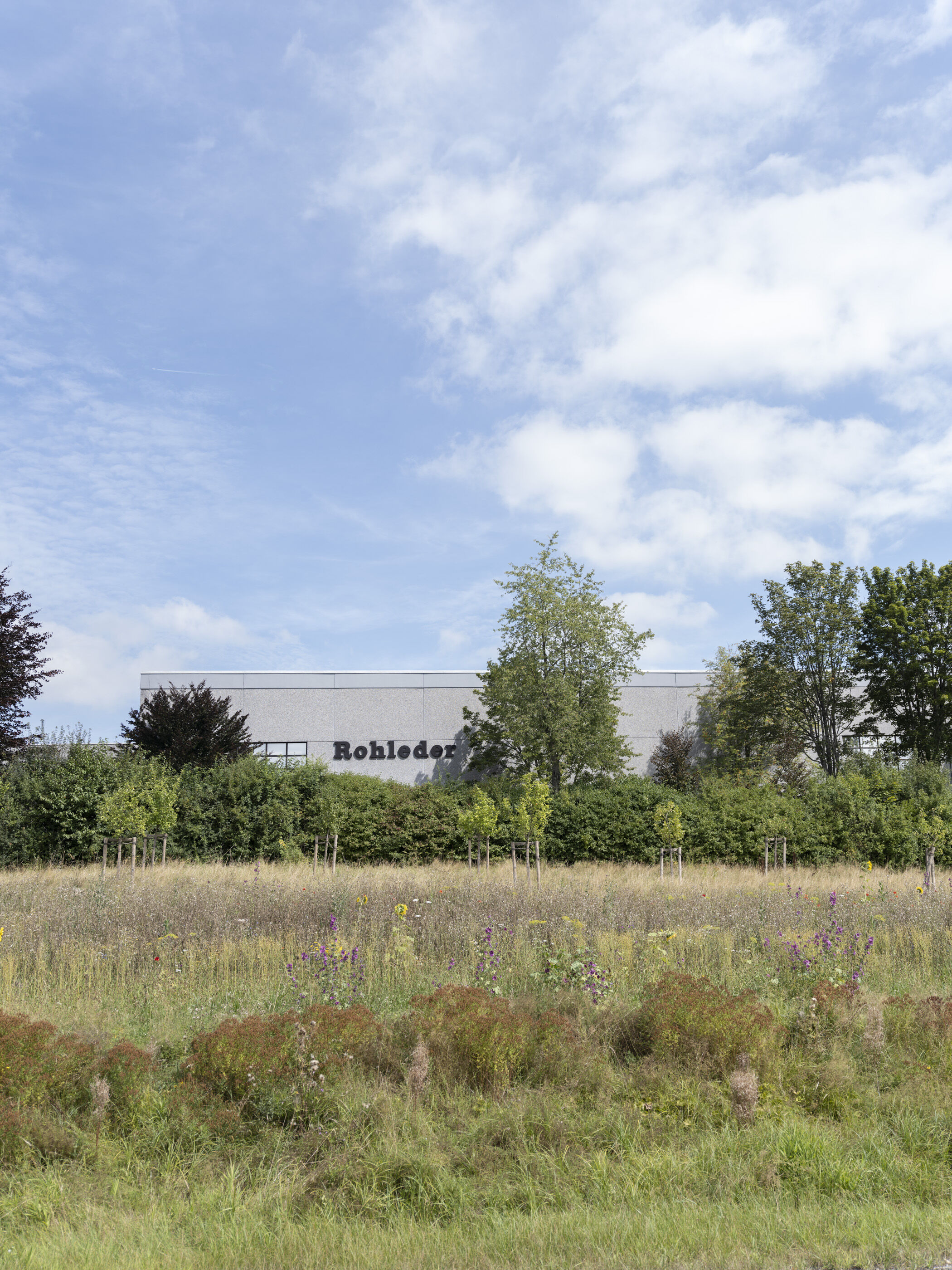 Gebäude mit der Aufschrift 'Rohleder' hinter Büschen und Bäumen, davor eine Wiese mit Gras und Wildblumen unter bewölktem Himmel