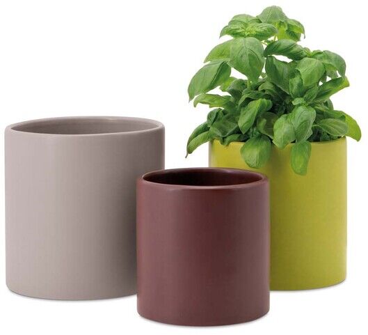 Ein 3er-Set Pflanztöpfe mit unterschiedlichen Größen und Farben: ein grauer, ein brauner und ein grüner Topf. Der grüne Topf enthält eine Pflanze mit grünen Blättern.