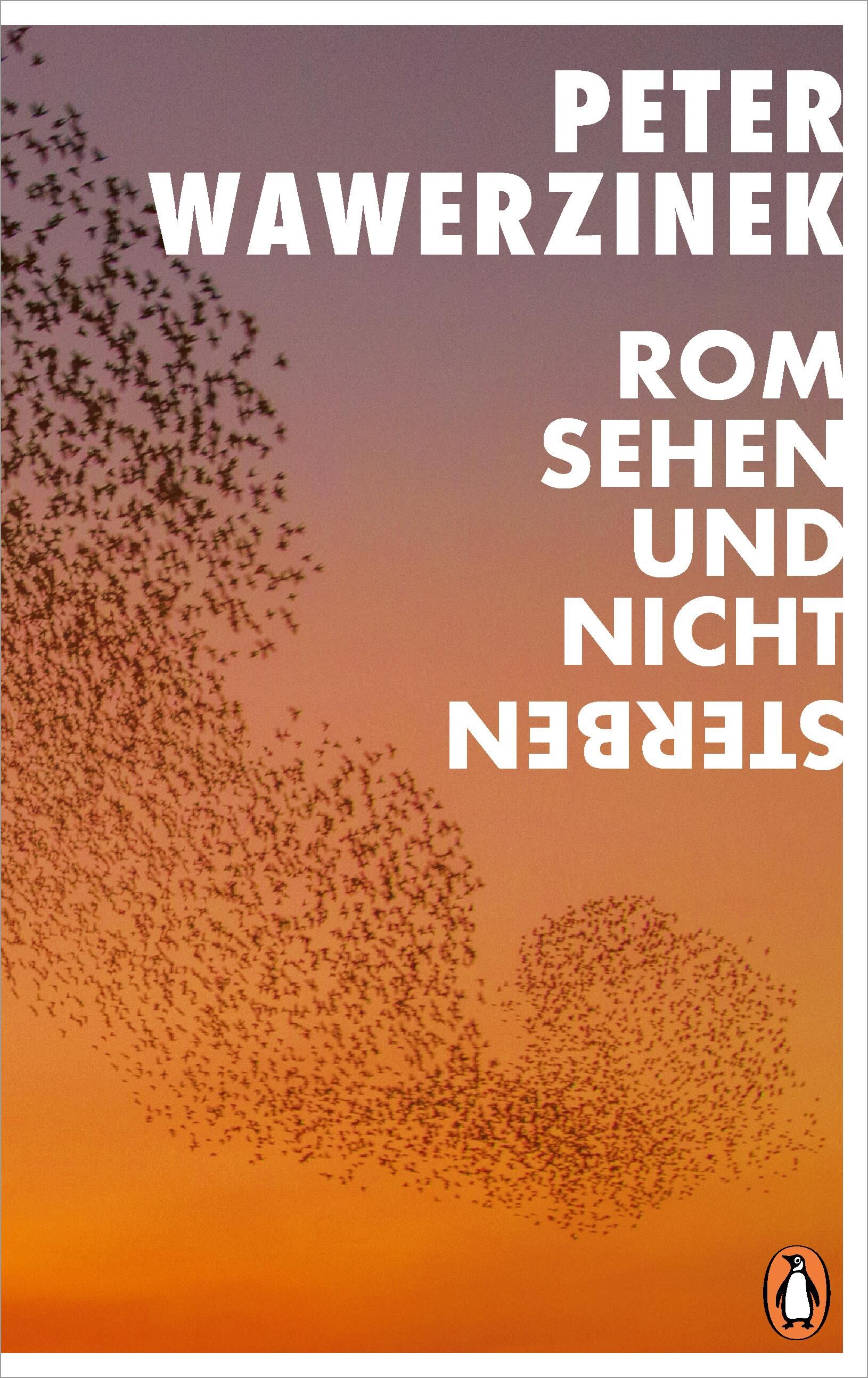 Cover Wawerzinek, P: Rom sehen und nicht sterben
