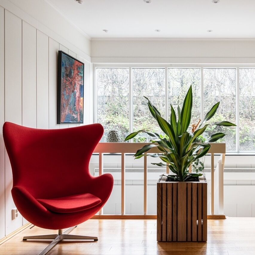 Ein modernes Wohnzimmer mit einem roten Sessel und einem Pflanzgefäß »GrowBIG«, das eine Zimmerpflanze mit großen grünen Blättern enthält. Im Hintergrund sind große Fenster, die natürliches Licht hereinlassen, sowie Holzböden und weiße Wände zu sehen. An den Wänden hängen Gemälde, und eine Holzbank ist teilweise sichtbar.