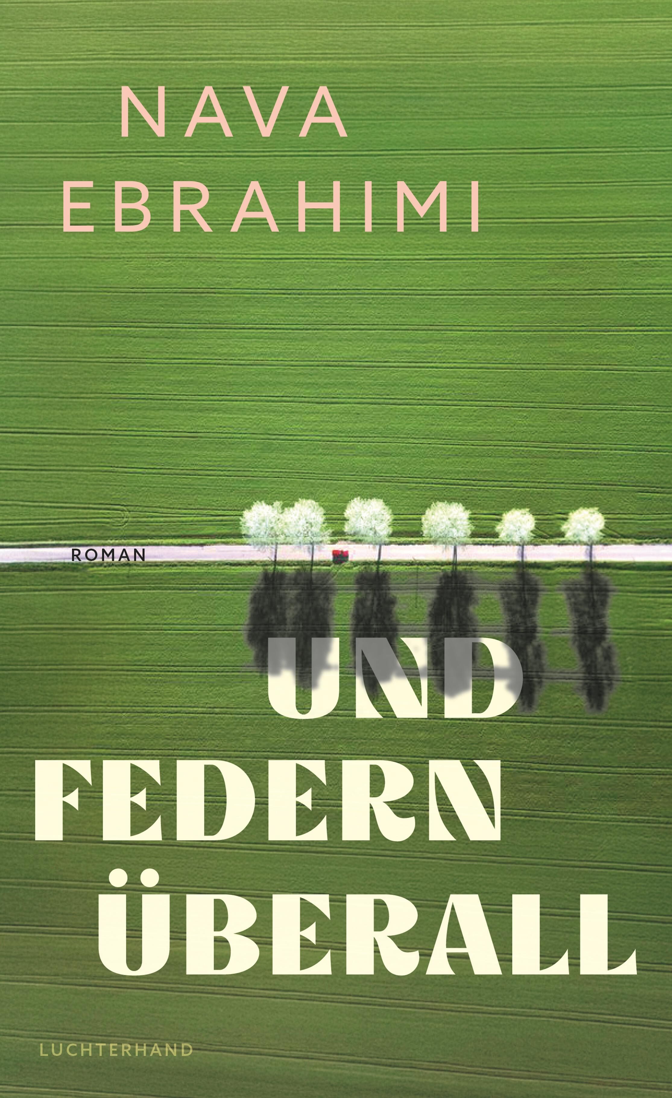 Cover Ebrahimi, N: Und Federn überall