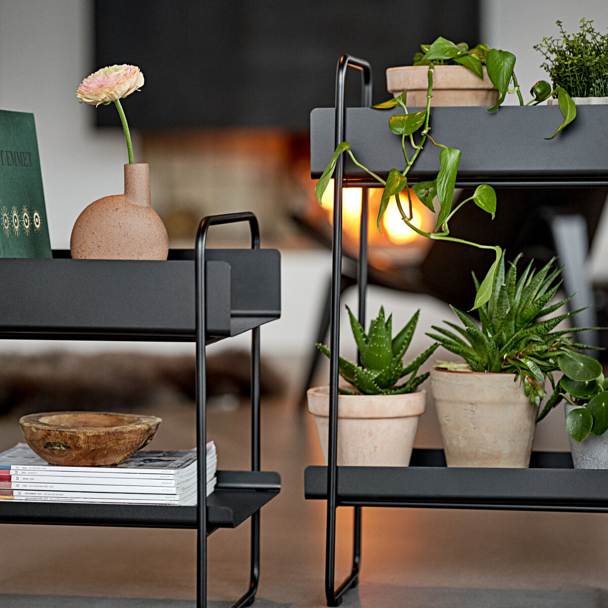 Ein moderner und minimalistisch gestalteter Konsolen- und Pflanztisch mit mehreren Zimmerpflanzen in Tontöpfen und einer Vase mit einer Blume darauf. Der Tisch hat einen schwarzen Metallrahmen und enthält Bücher und Dekorationsstücke. Ideal für Wohnzimmer oder als dekoratives Regal.
