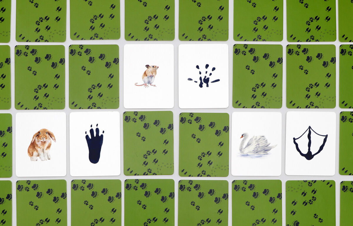 Memo-Spiel »Tiere in deiner Umgebung - 25 Tiere und ihre Fußabdrücke«: eine Sammlung von farbigen Karten mit Abbildungen von Tieren und ihren entsprechenden Fußabdrücken auf einem grünen Hintergrund mit schwarzen Pfotenabdrücken.