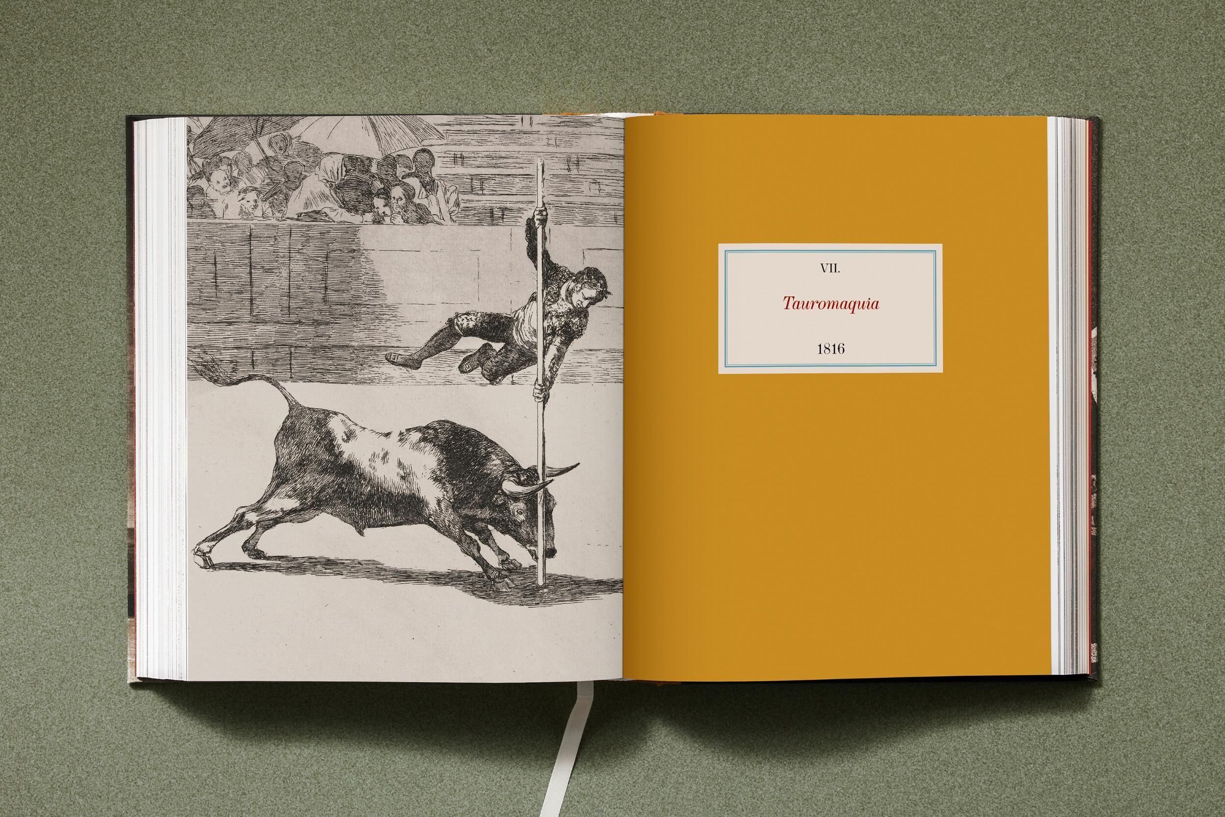 Innenansicht zu Reuter, A: Goya. The Complete Prints