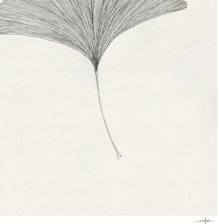 Zeichnung eines Ginkgoblattes in einem schwarzen Rahmen, minimalistischer Stil, monochrome Farbgebung.