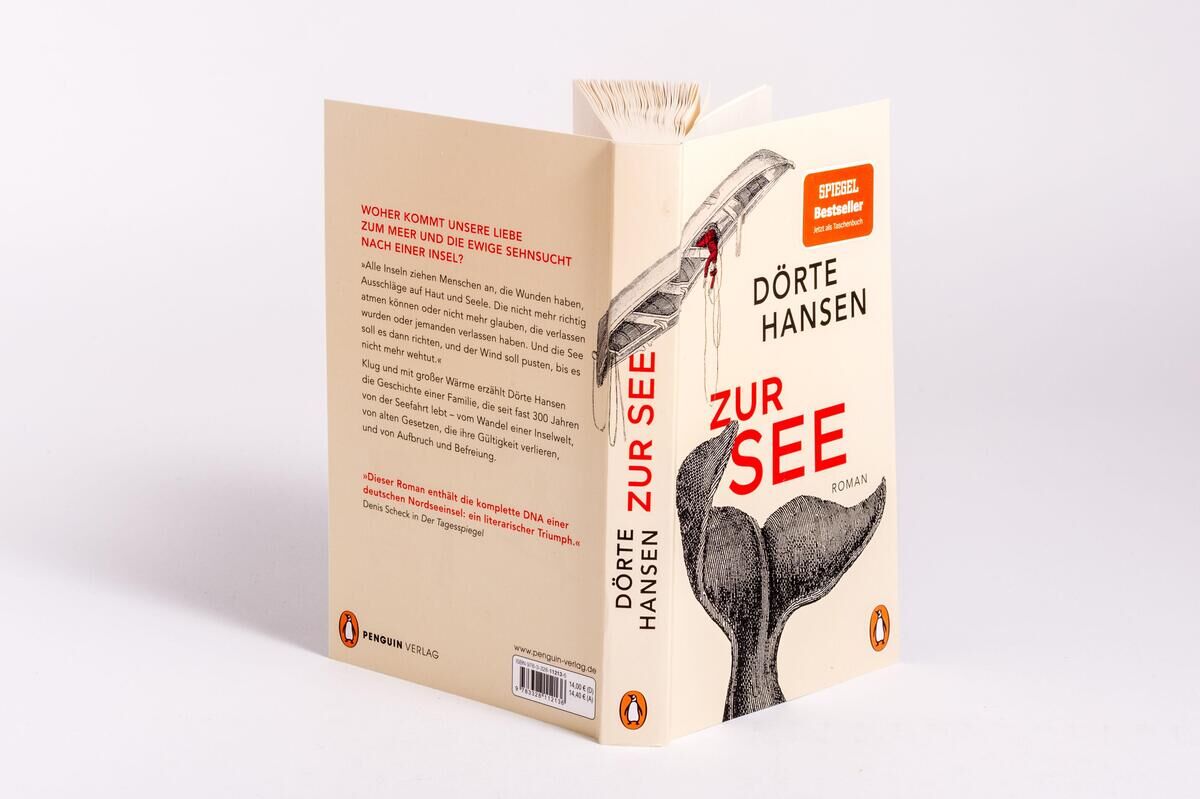Innenansicht zu Hansen, D: Zur See