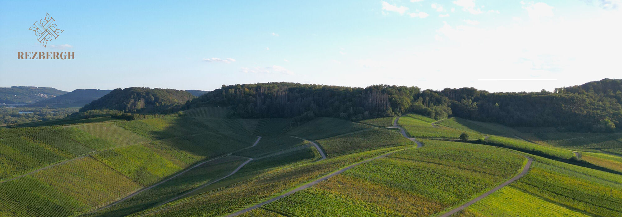 Weinberge mit terrassierten Anbauflächen und Wegen unter blauem Himmel, Logo 'Rezbergh' oben links