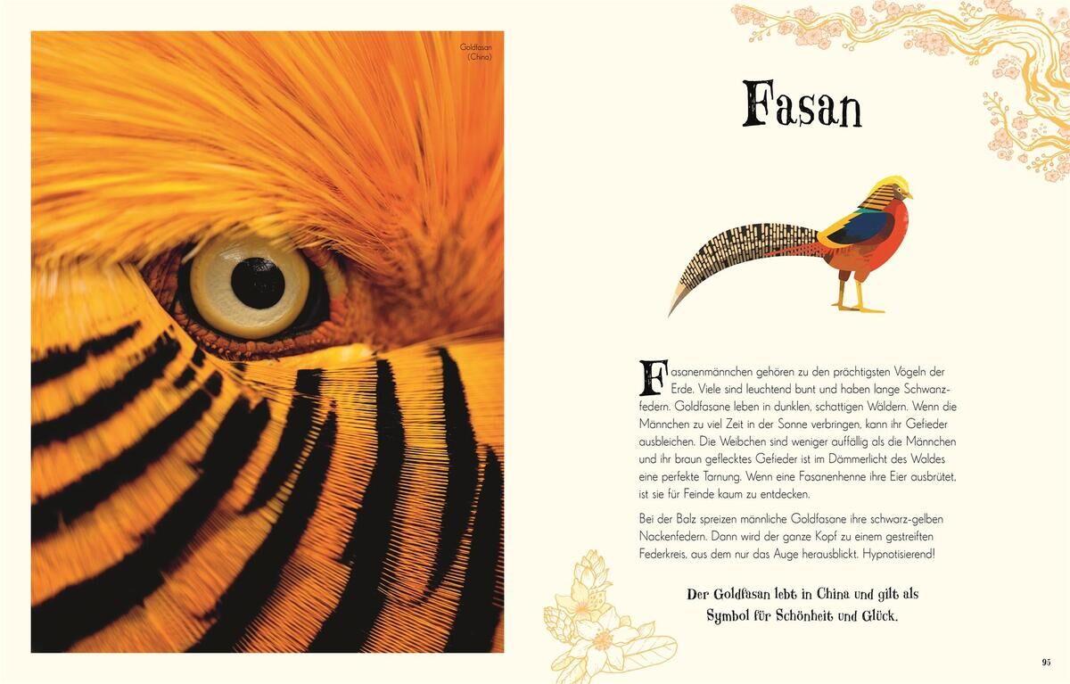 Eine Doppelseite aus dem Buch 'Wundervolle Welt der Tiere' zeigt eine Nahaufnahme des Auges und Gefieders eines Fasans auf der linken Seite und eine Illustration sowie Beschreibung desselben Vogels auf der rechten Seite.