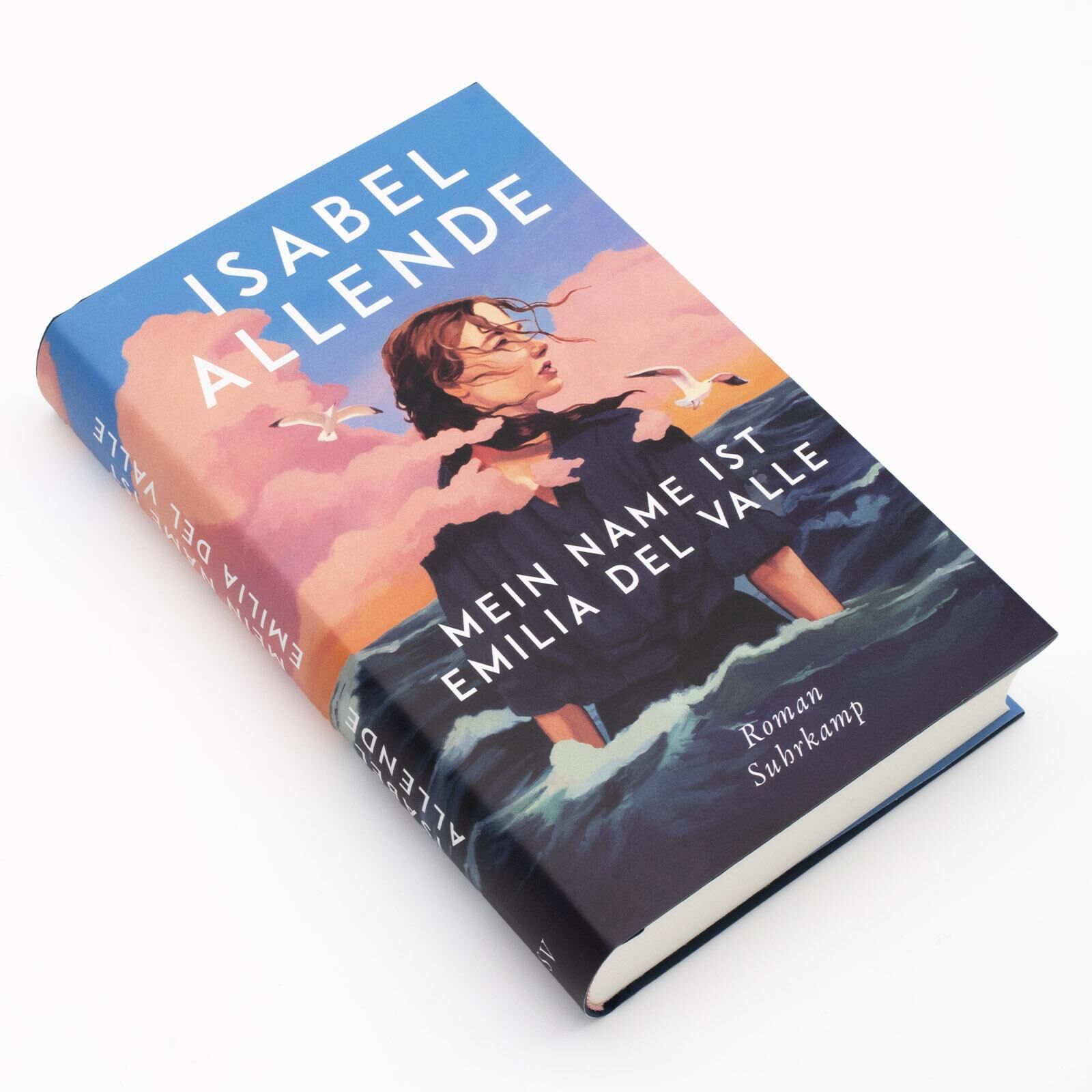 Innenansicht zu Allende, I: Mein Name ist Emilia del Valle