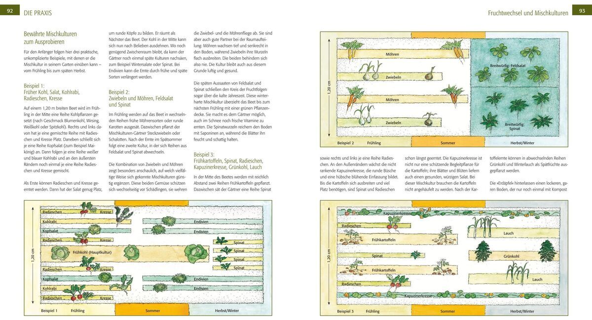 Eine Seite aus dem Buch 'Der Biogarten' von Marie-Luise Kreuter zeigt grafische Darstellungen von Gartenlayouts und Pflanzenschemata. Die Abbildungen sind in grünen, gelben und weißen Farben gehalten und geben einen Einblick in die ökologische Gartenplanung und Bepflanzung.