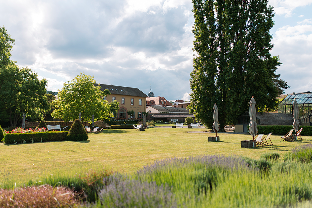 Weinberge mit Reihen von Weinreben in verschiedenen Grüntönen, sanfte Hügel im Hintergrund unter bewölktem Himmel.