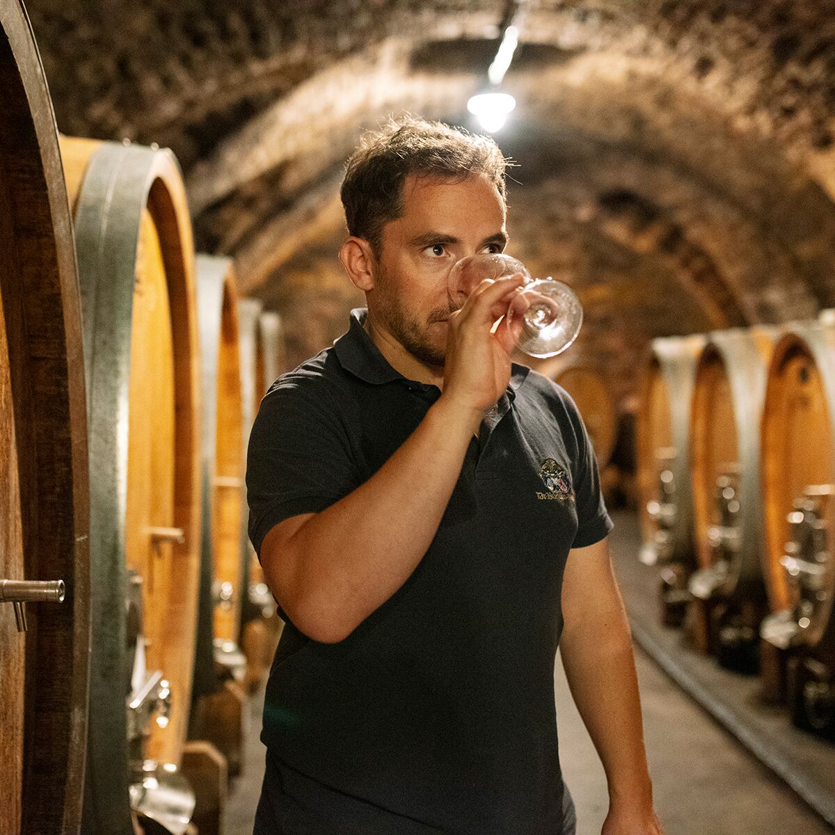 Ein Mann probiert ein Glas Weißwein im Weinkeller, umgeben von großen Holzfässern. Im Bild steht die Produktstimmung und das Genusserlebnis im Vordergrund. Die Szene vermittelt eine professionelle Weinverkostung im traditionellen Ambiente eines historischen Weinguts.