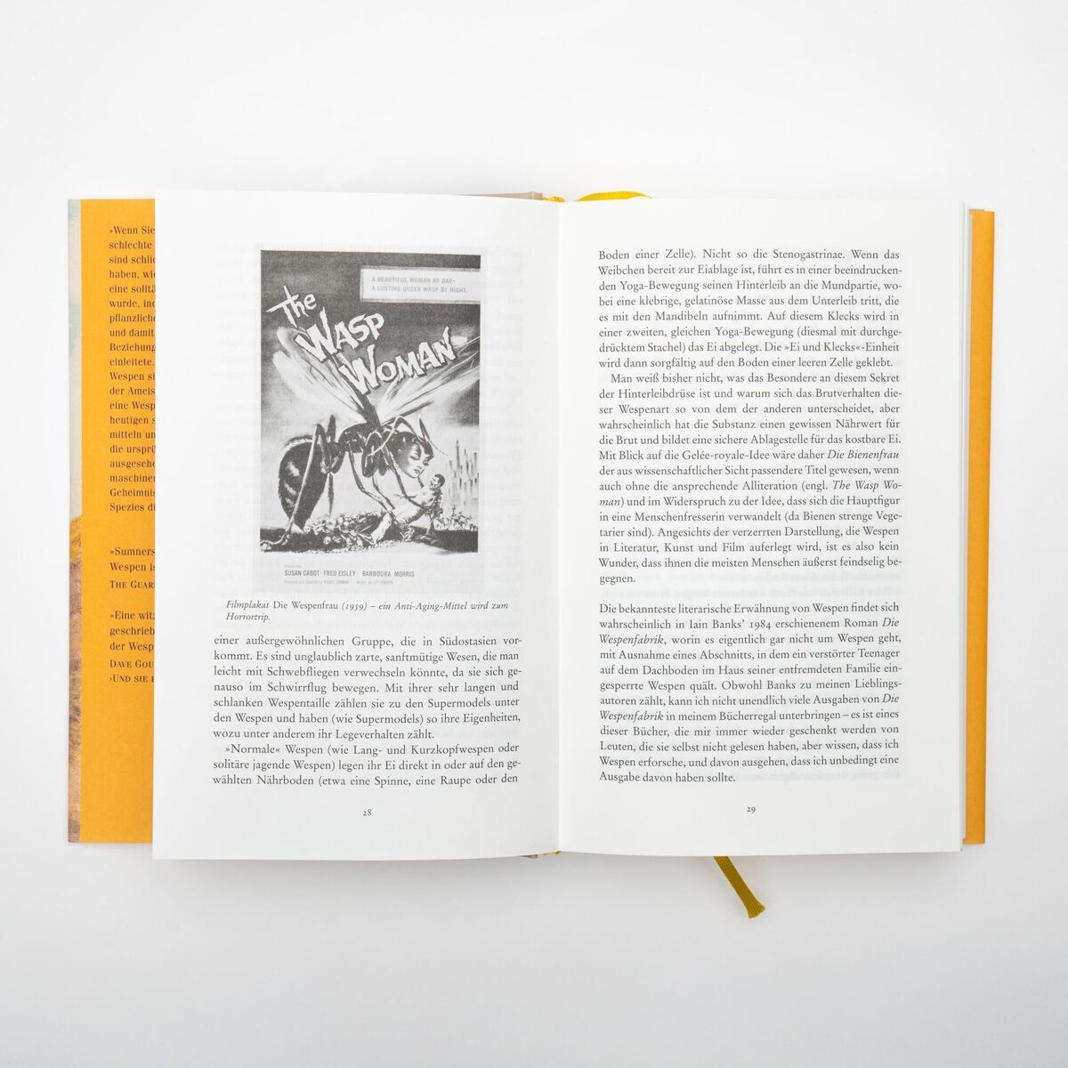 Ein aufgeschlagenes Buch mit dem Titel 'Seirian Sumner: Wespen – Eine Versöhnung'. Die linke Seite zeigt eine Abbildung und den Titel 'The Wasp Woman', die rechte Seite enthält Text. Das Buch hat einen gelben Buchrücken und weiße Seiten.