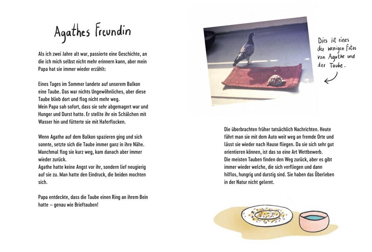 Innenansicht zu Damm, A: Agathe