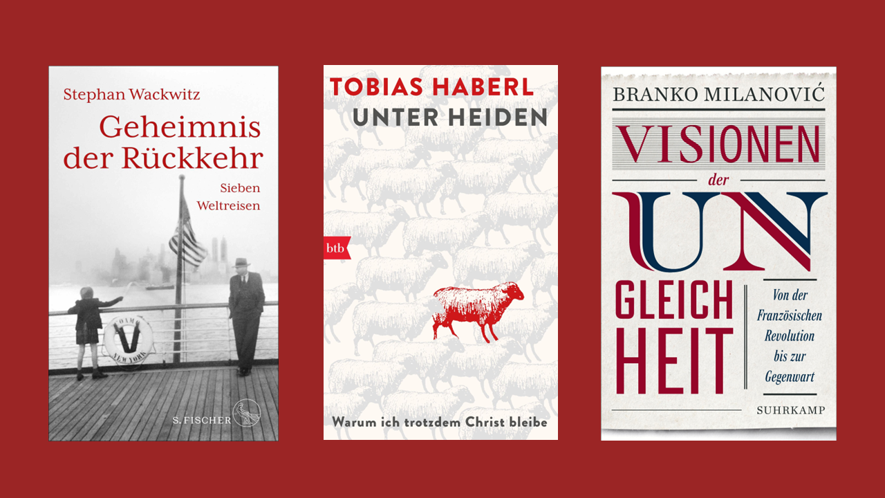Link zur Kategorie weitere Buchempfehlungen. Drei verschiedene Buchcover sind nebeneinander auf rotem Hintergrund zu sehen. Von links nach rechts: 'Geheimnis der Rückkehr' mit einer historischen Schwarzweiß-Fotografie einer Person am Schiffsdeck, 'Unter Heiden' mit einer stilisierten roten Schaf-Illustration, und 'Visionen der Ungleichheit', dessen Titel und Gestaltung überwiegend textbasiert in Rot und Blau gehalten sind. 