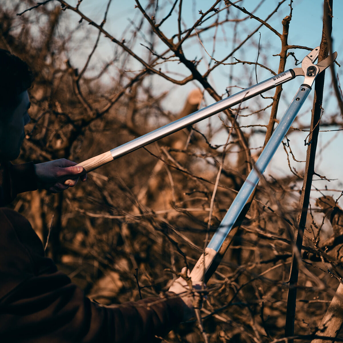 Ein Mensch verwendet eine Original Löwe Hybrid Astschere mit Holzgriffen, um Äste an einem kahlen Baum in einem winterlichen Garten zu schneiden. Die Astschere ist geöffnet und wird beidhändig bedient. Der Hintergrund zeigt zahlreiche dünne Äste im natürlichen Licht.