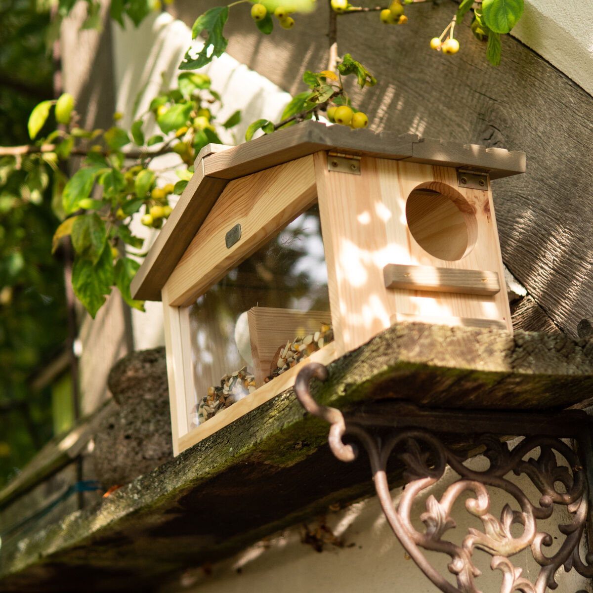 Ein Eichhörnchenhaus aus Holz, genannt 'Knabber Knusper'. Das Haus befindet sich auf einer verzierten Metallhalterung, befestigt an einem Baum im Garten. Es hat eine Öffnung und ist teilweise mit Futter gefüllt. Die Umgebung ist grün und von Blättern umgeben.