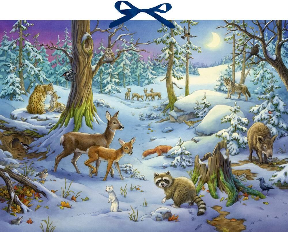 Cover Adventskalender mit Sound: Hört ihr die Tiere im Winterwald?