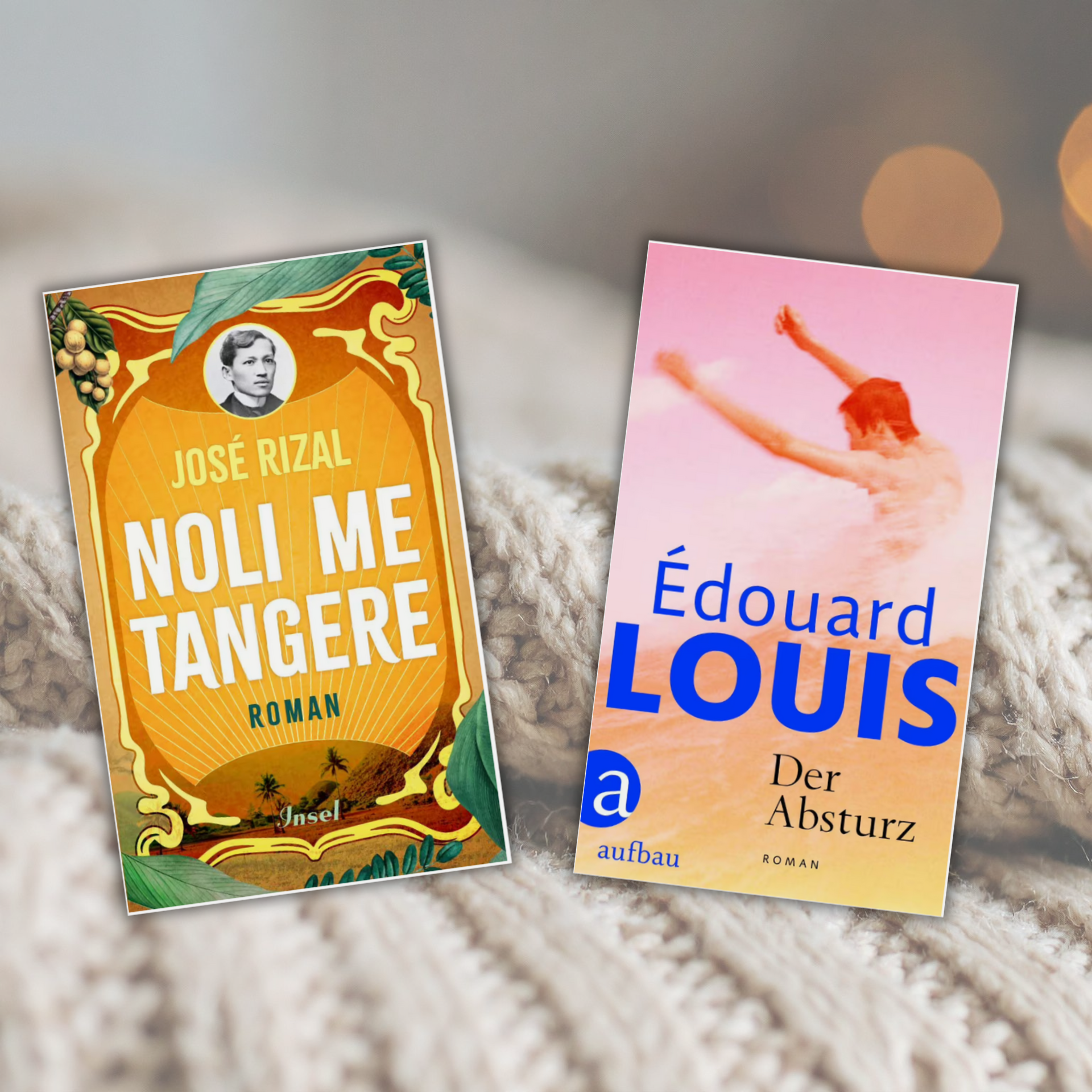 Link zur Kategorie Bücher, die uns Halt geben. Zwei Romane liegen auf einer gestrickten, beigen Decke: Links das Buch 'Noli Me Tangere' von José Rizal mit ornamentiertem, grün-gelb-orangem Cover, rechts das Buch 'Der Absturz' von Édouard Louis mit pink-orange-blauem Cover und verschwommener menschlicher Figur.
