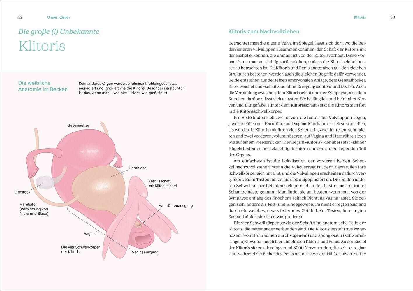 Innenansicht zu Mangler, M: Das große Gynbuch