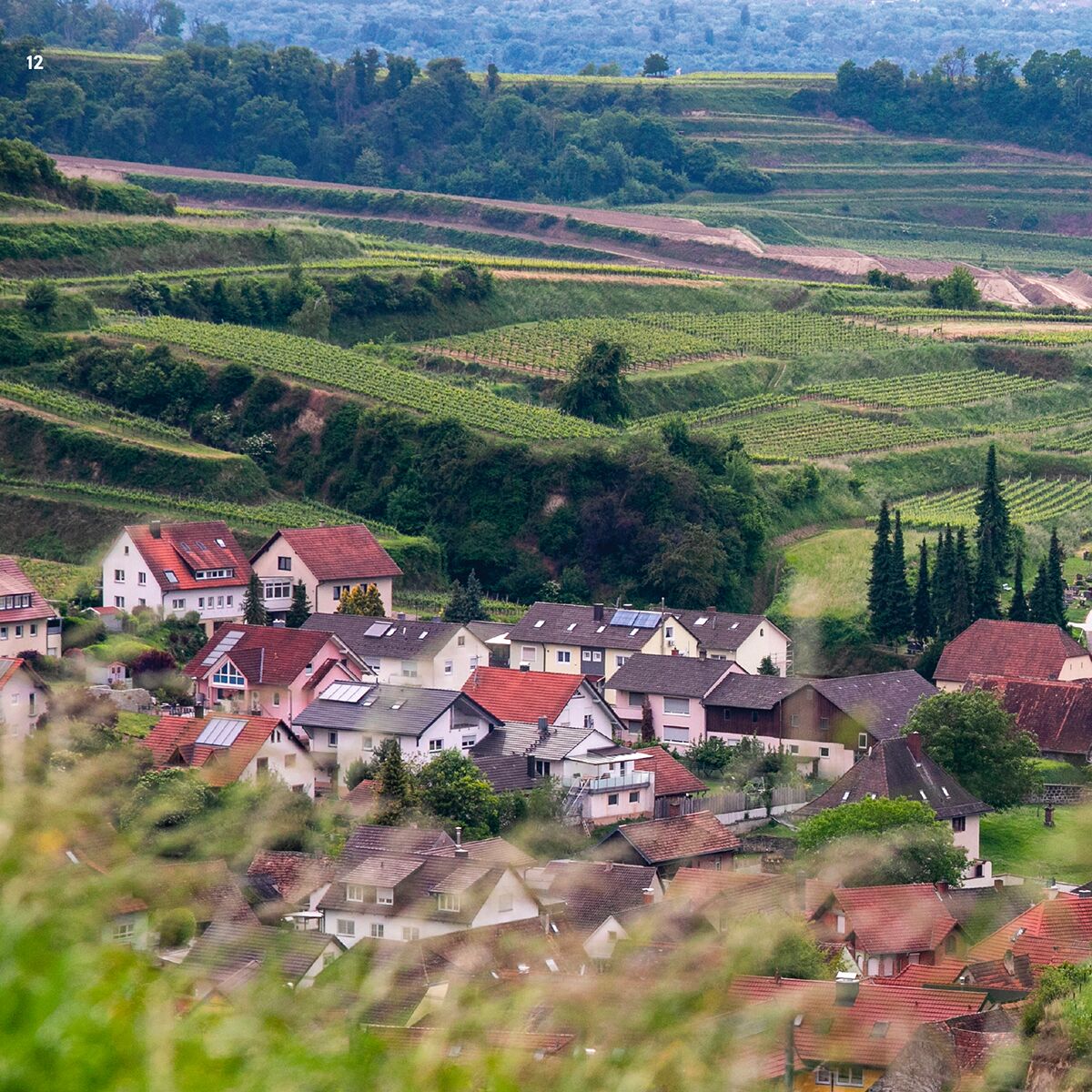 Panorama einer typisch badischen Weinlandschaft mit sanften, terrassierten Weinbergen und einem malerischen Dorf im Vordergrund, umgeben von üppigem Grün und landwirtschaftlichen Flächen.