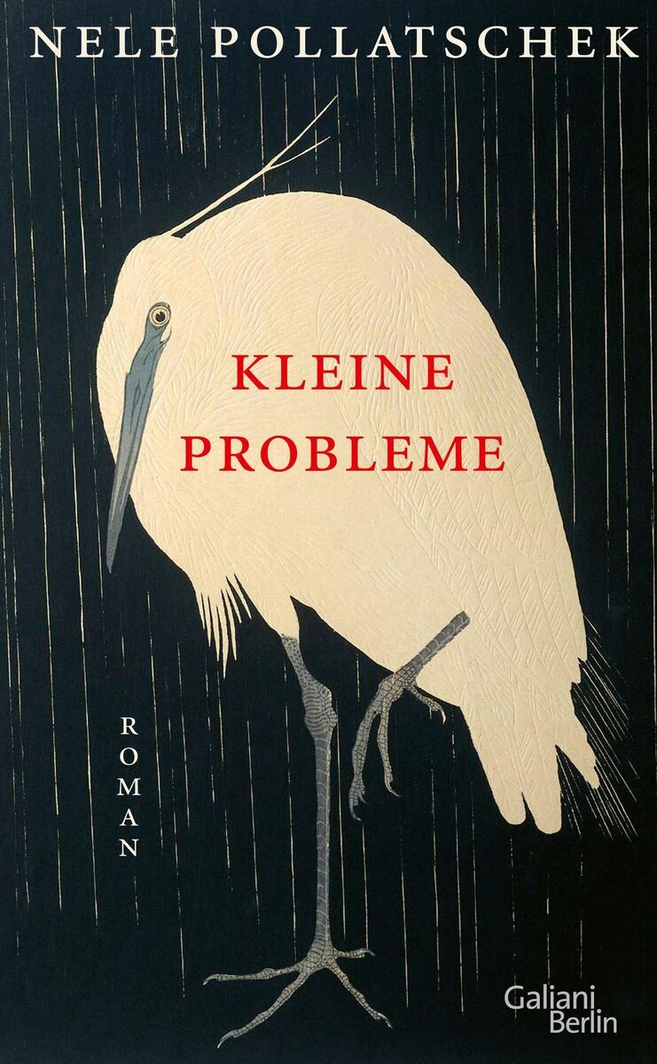 Das Buchcover von 'Kleine Probleme' von Nele Pollatschek zeigt einen weißen Reiher auf schwarzem Hintergrund. Der Titel des Buches ist in roten Buchstaben zentral platziert. Der Verlag, Galiani Berlin, ist unten rechts vermerkt.