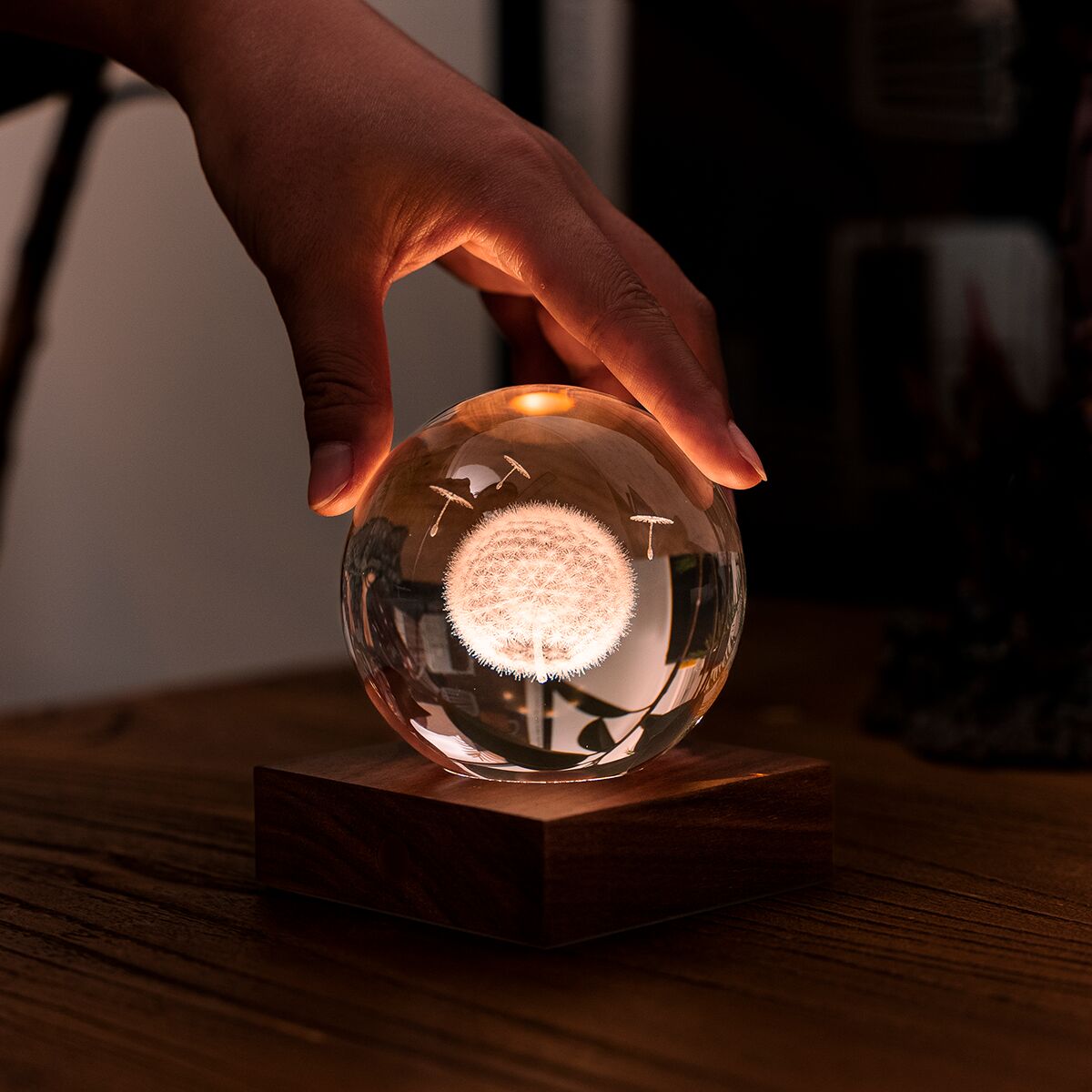 Eine stilvolle Lampe von Gingko Design mit einer glasklaren Kristallkugel auf einem massiven Walnussholz-Sockel. Im Inneren schwebt eine fein gravierte Pusteblume. Eine Hand betätigt den Touch-Knopf. Warmes, stimmungsvolles Licht erhellt den Holztisch.