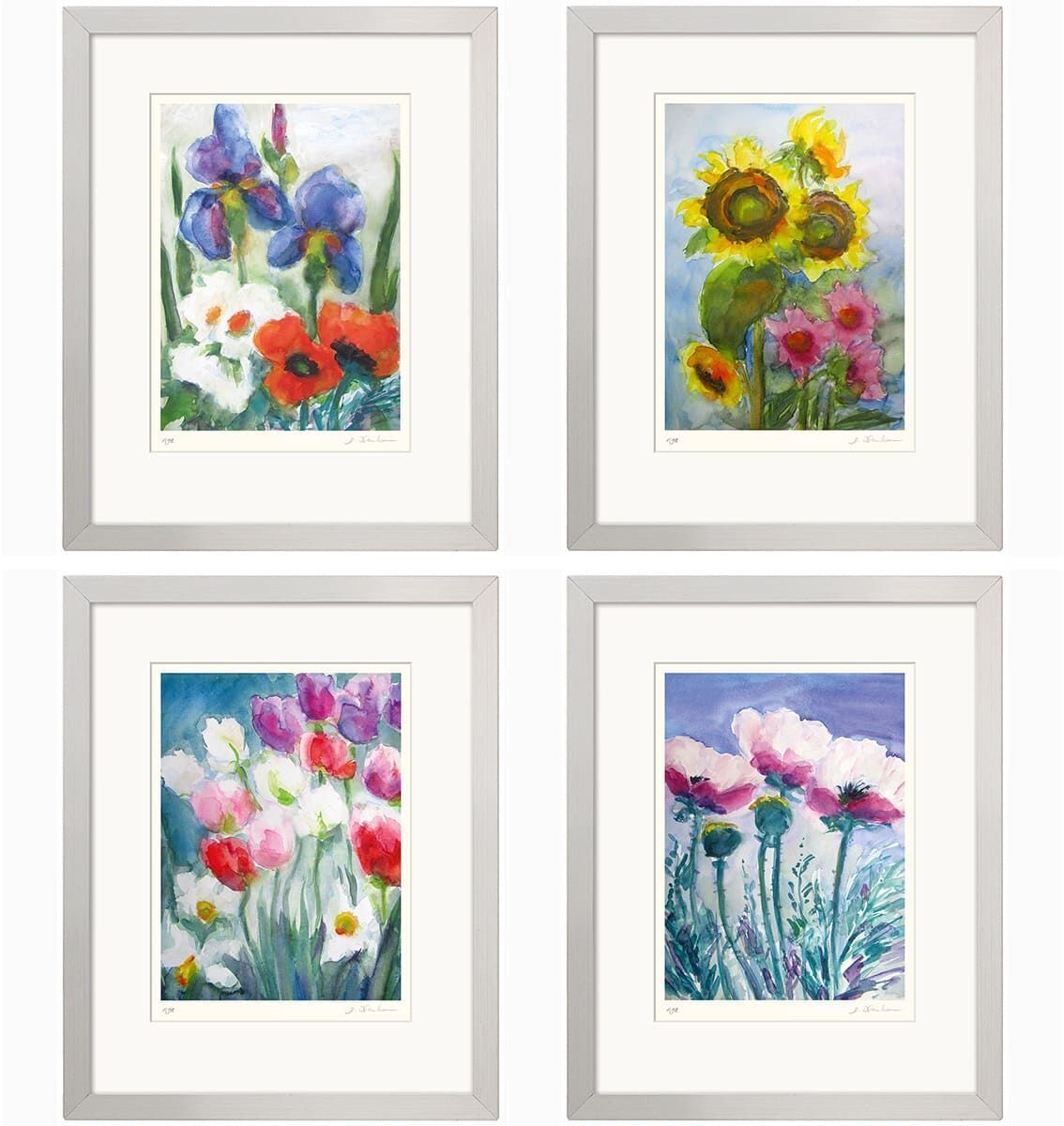 Vier Bilder von Christine Kremkau als Set, zeigen farbenfrohe Blumen wie Iris, Sonnenblumen, Tulpen, und Anemonen, jeweils in einem schlichten weißen Rahmen.