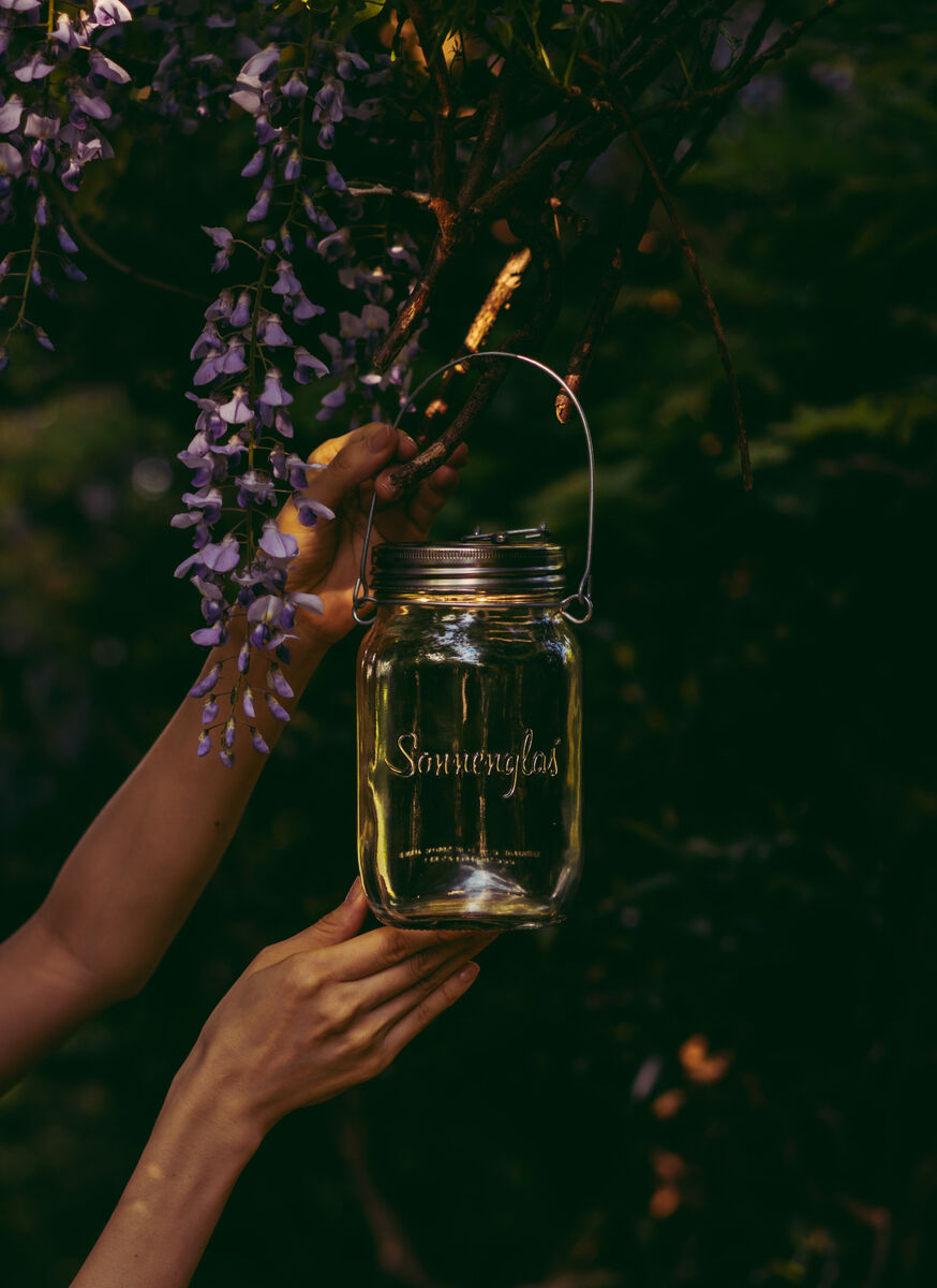 Ein Glas mit der Aufschrift 'Sonnenglas' und einem Metallgriff wird von zwei Händen gehalten. Es hängt an einem blühenden Wisteria-Zweig in einem grünen, laubgefüllten Garten und ist anscheinend in der Abenddämmerung aufgenommen.
