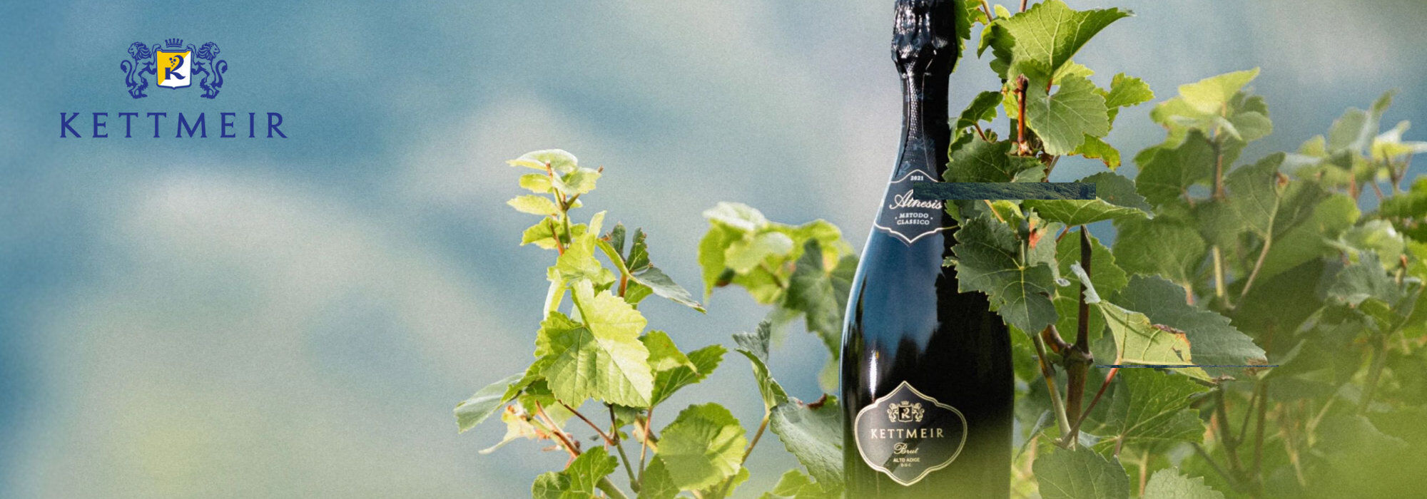 Flasche Kettmeir Schaumwein steht zwischen grünen Weinreben, unscharfer Himmel im Hintergrund, Kettmeir-Logo oben links.