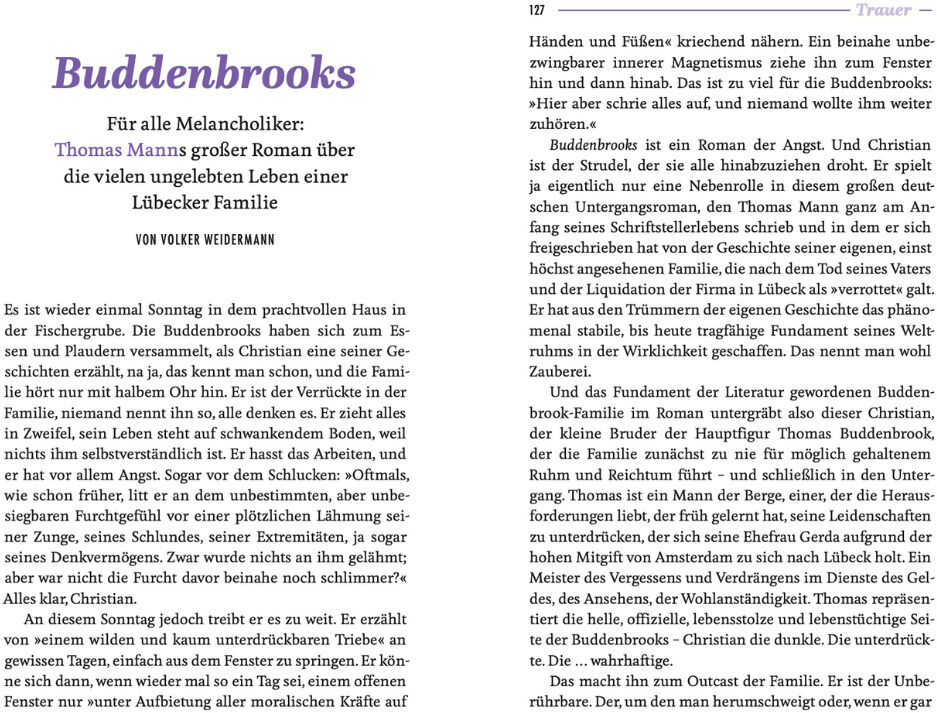 Foto eines aufgeschlagenen Taschenbuchs mit zwei Seiten Text. Links befindet sich ein Textabschnitt über »Buddenbrooks« und rechts eine Textseite aus dem Kapitels »Frauen«.