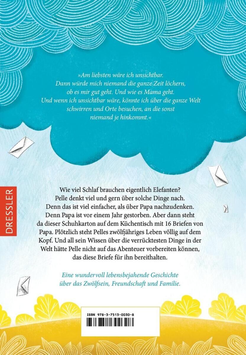 Rückseite eines Kinderbuchs mit blauen und gelben Illustrationen und einer Geschichte über Papierflieger. Das Buch stammt aus dem Dressler Verlag.