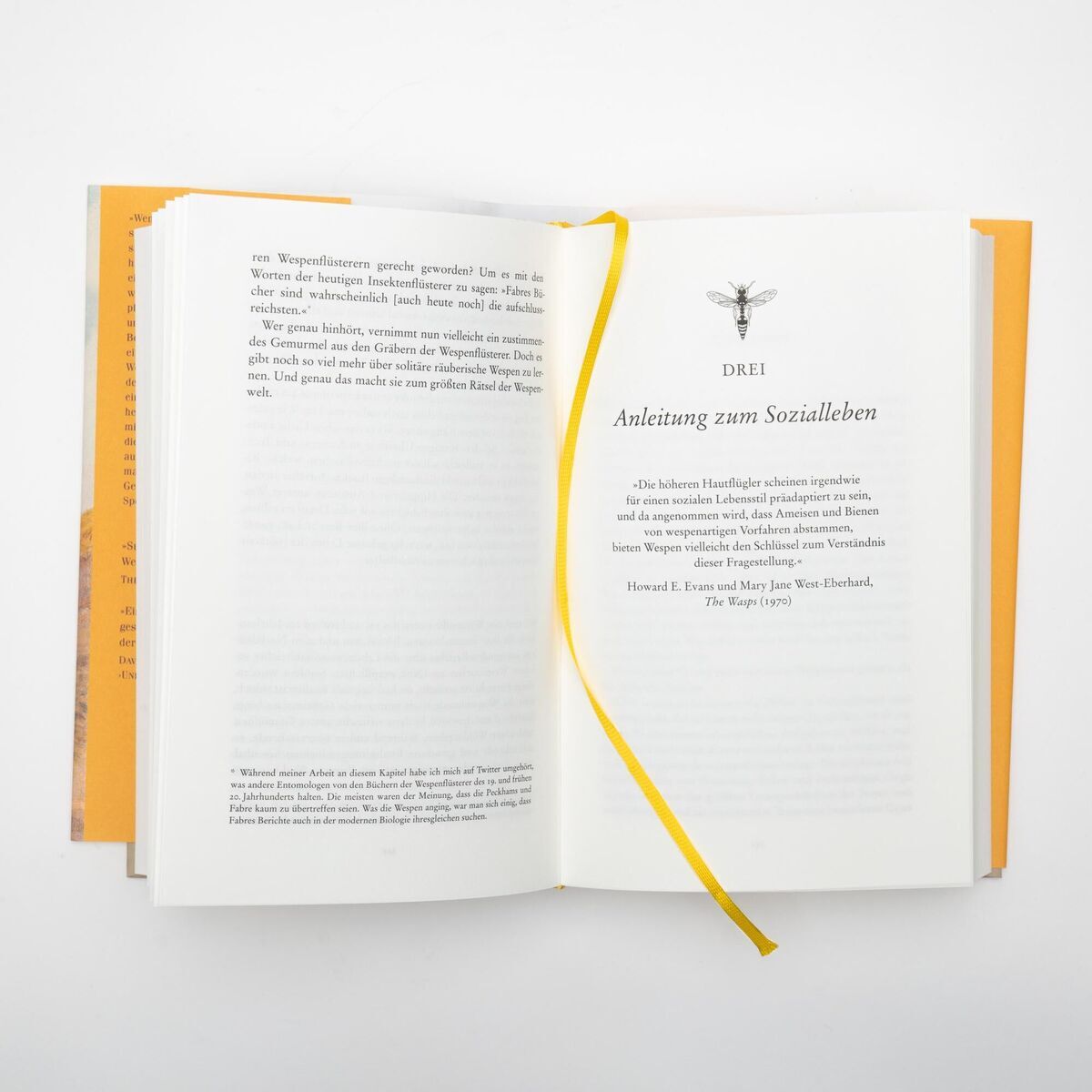 Ein geöffnetes Buch mit dem Titel 'Seirian Sumner: Wespen – Eine Versöhnung'. Eine gelbe Schnur dient als Lesezeichen. Der Buchumschlag ist in Orange gehalten und zeigt strukturierten Text auf einer weißen Seite.