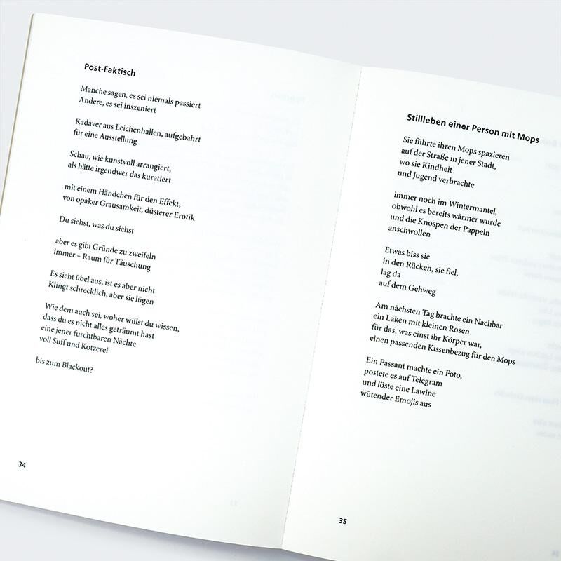 Innenansicht zu Maksymchuk, O: Tagebuch einer Invasion