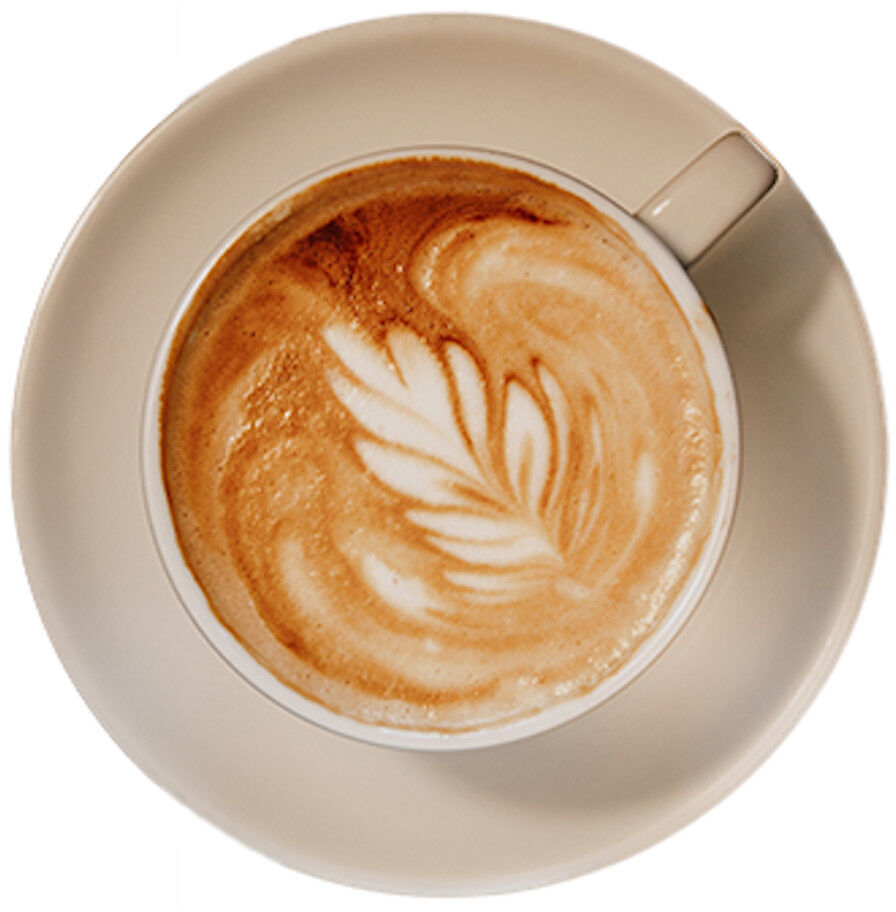 Eine Kaffeetasse mit einem Cappuccino in Top-Down-Ansicht. Der Schaum hat ein Blattmuster, und die Tasse ist beige auf einem weißen Hintergrund.