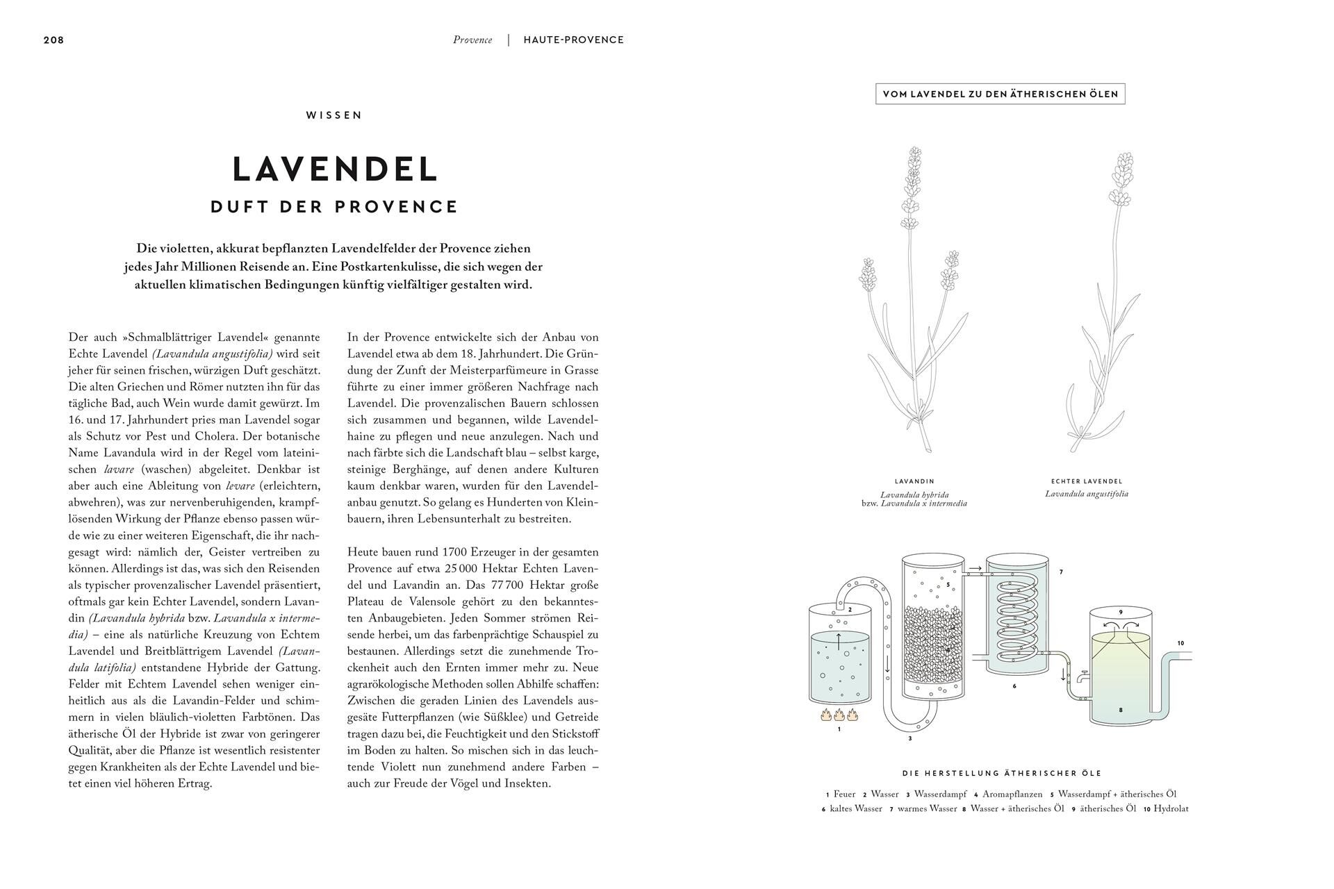 Innenansicht zu Provence. Eine Augenreise