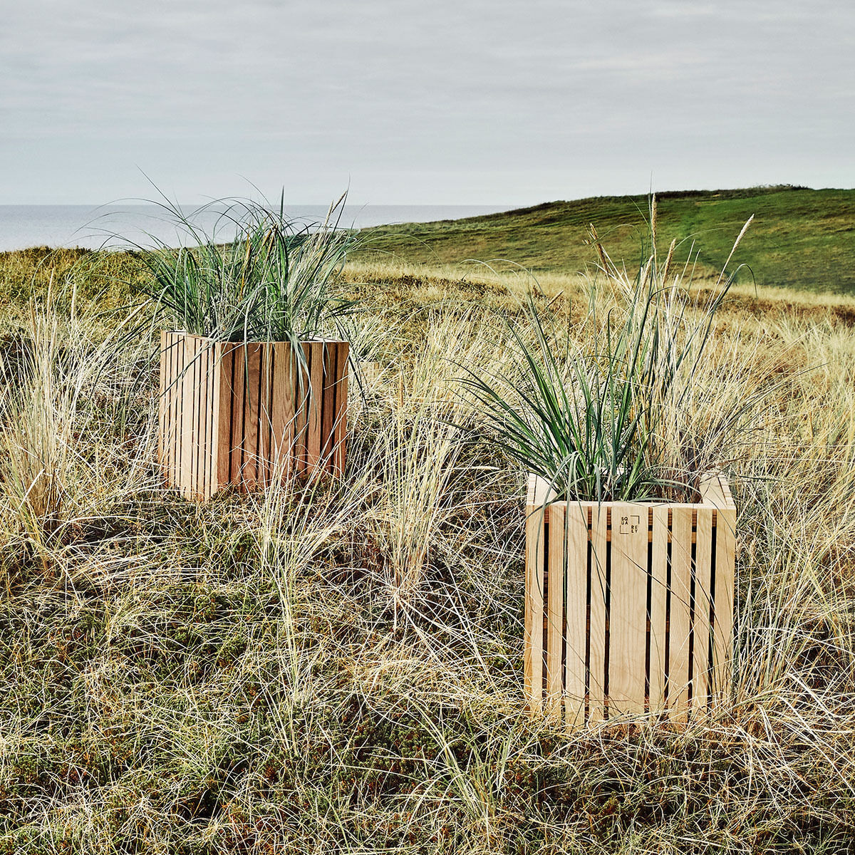 Das Bild zeigt zwei Pflanzgefäße vom Typ »GrowBIG« aus hellem Holz im Freien auf einer Grasfläche nahe einer Küstenlandschaft mit bewölktem Himmel.
