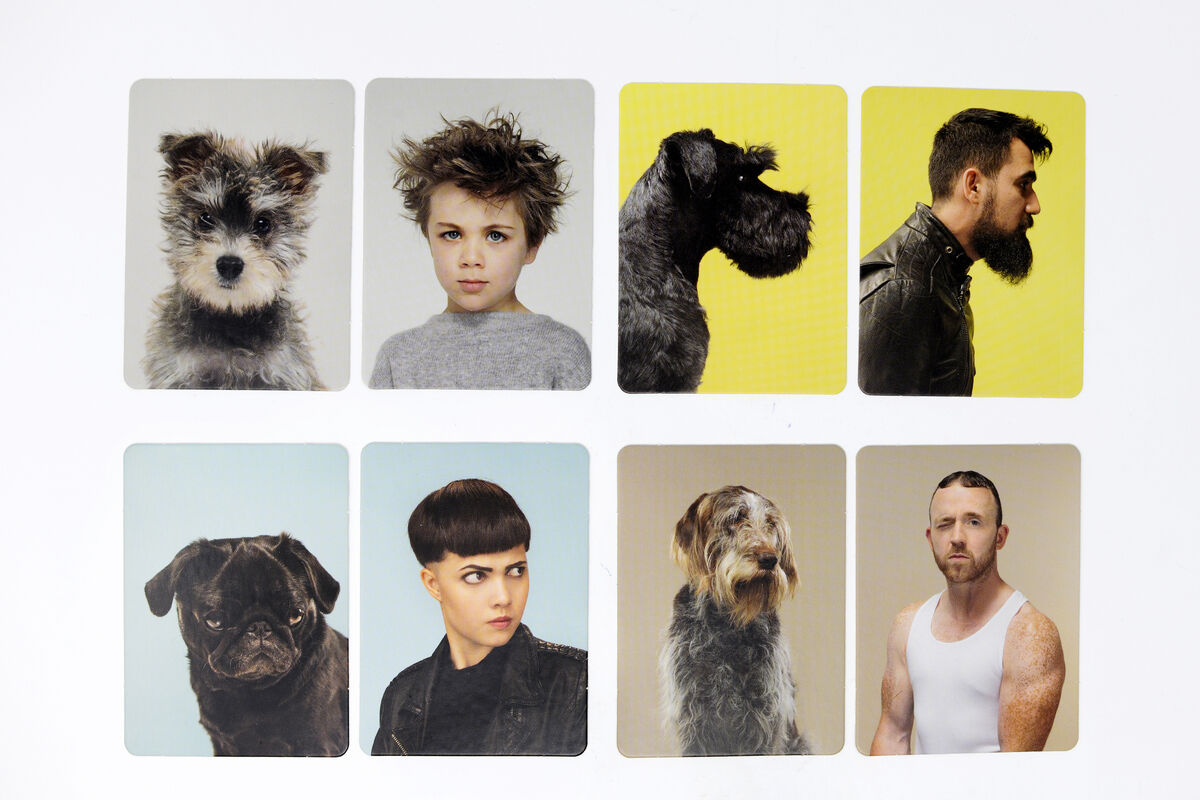Ein Memo-Spiel mit acht Karten, die jeweils ein Bild eines Hundes und eines Menschen zeigen, deren Aussehen auffällig ähnlich ist. Die Hintergrundfarben variieren in Gelb, Hellblau und Grau.