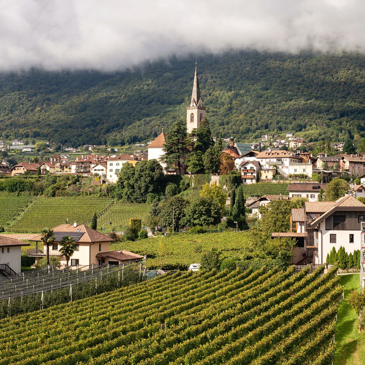 Eine edle Flasche der ZEIT-Weinedition »KETTMEIR« von DIE ZEIT steht prominent auf einem weißen Hintergrund. Das Etikett wirkt hochwertig mit goldenen und schwarzen Akzenten. Neben der Flasche glänzt ein gefülltes Weinglas. Dezente Lichtreflexe betonen die Eleganz der Präsentation.