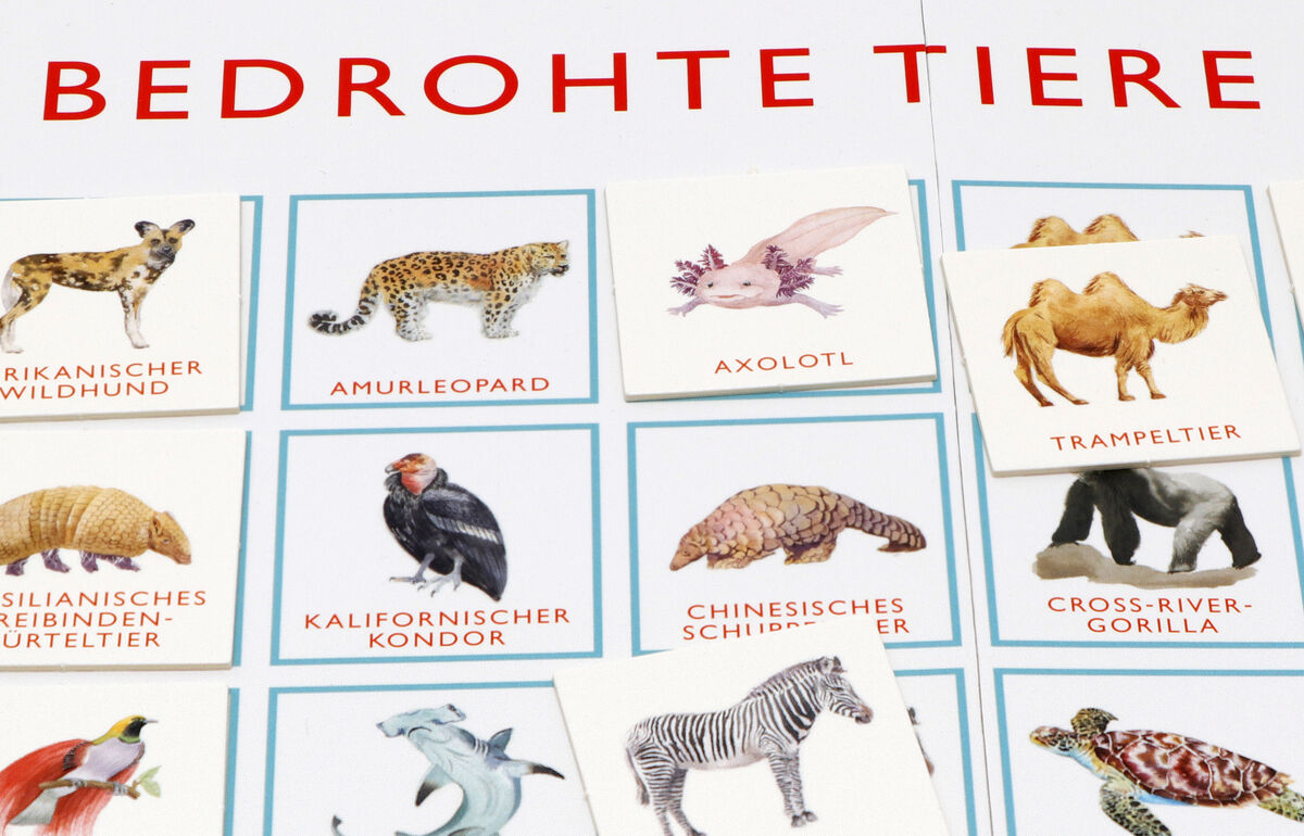 Ein Bingo-Spiel mit dem Titel 'Bedrohte Tiere' zeigt verschiedene illustrierte Abbildungen von Wildtieren wie Amurleopard, Axolotl, Trampeltier, Kalifornischer Kondor und andere auf Spielkarten. Die Karten sind in weißen Feldern mit blauen Rahmen platziert und tragen Beschriftungen unter jeder Abbildung.