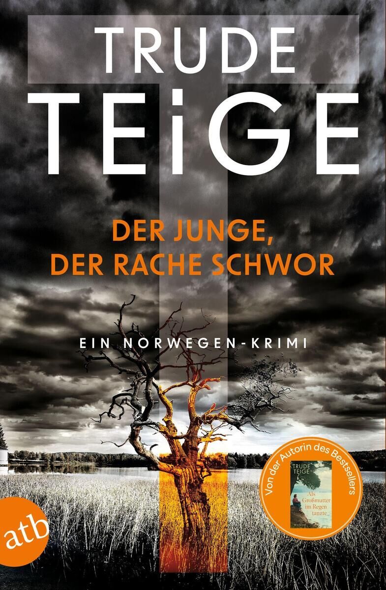 Cover Teige, T: Junge, der Rache schwor