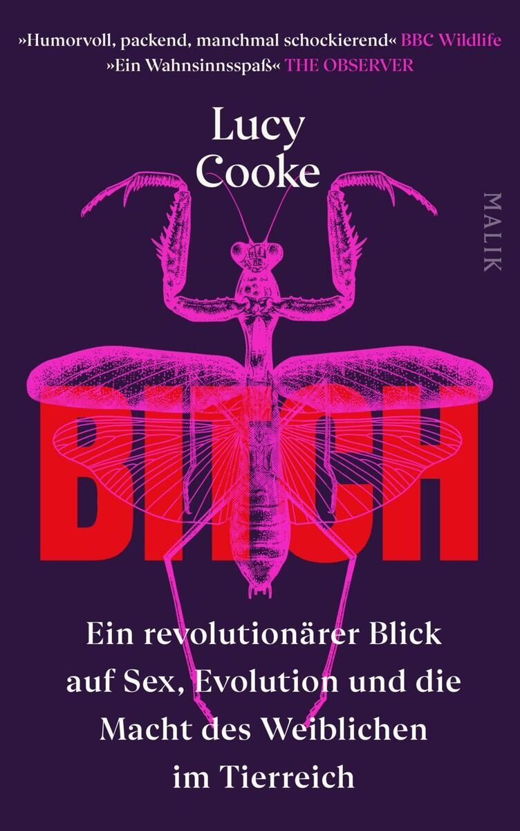 Ein Buchcover des Titels 'Bitch - Ein revolutionärer Blick auf Sex, Evolution und die Macht des Weiblichen im Tierreich' von Lucy Cooke. Der Hintergrund ist violett mit rotem und weißem Text und einem pinken Bild eines Tieres in der Mitte. Oben stehen Buchbesprechungen und der Name der Autorin.